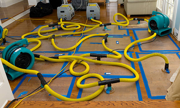 Professional Structural Drying And Dehumidification technician working in Mabscott, WV